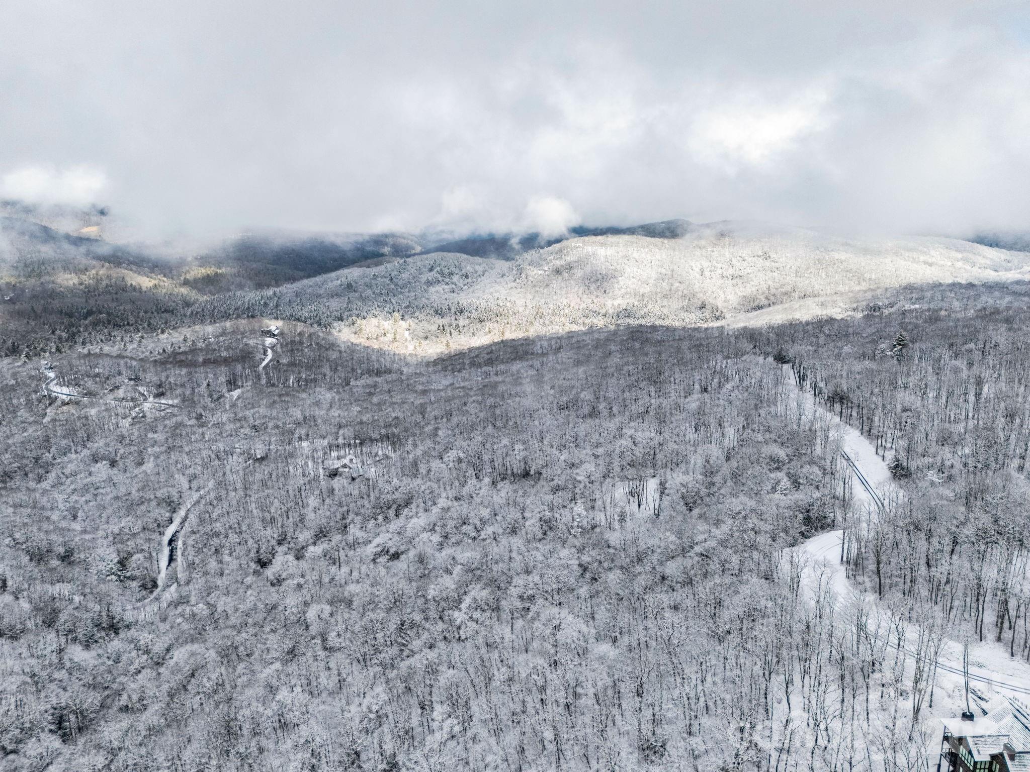 D54 Springwater Road, Unit D54 Glenville, NC 28736 - Photo 17 of 26 a view of a dry room with wooden floor