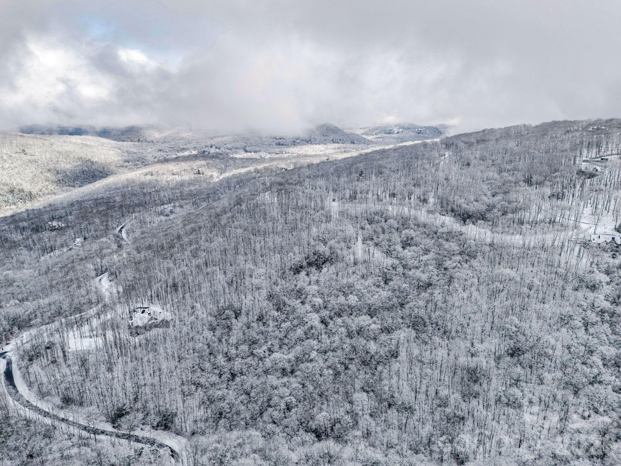 D54 Springwater Road, Unit D54 Glenville, NC 28736 - Photo 18 of 26 a view of a dry yard in the background