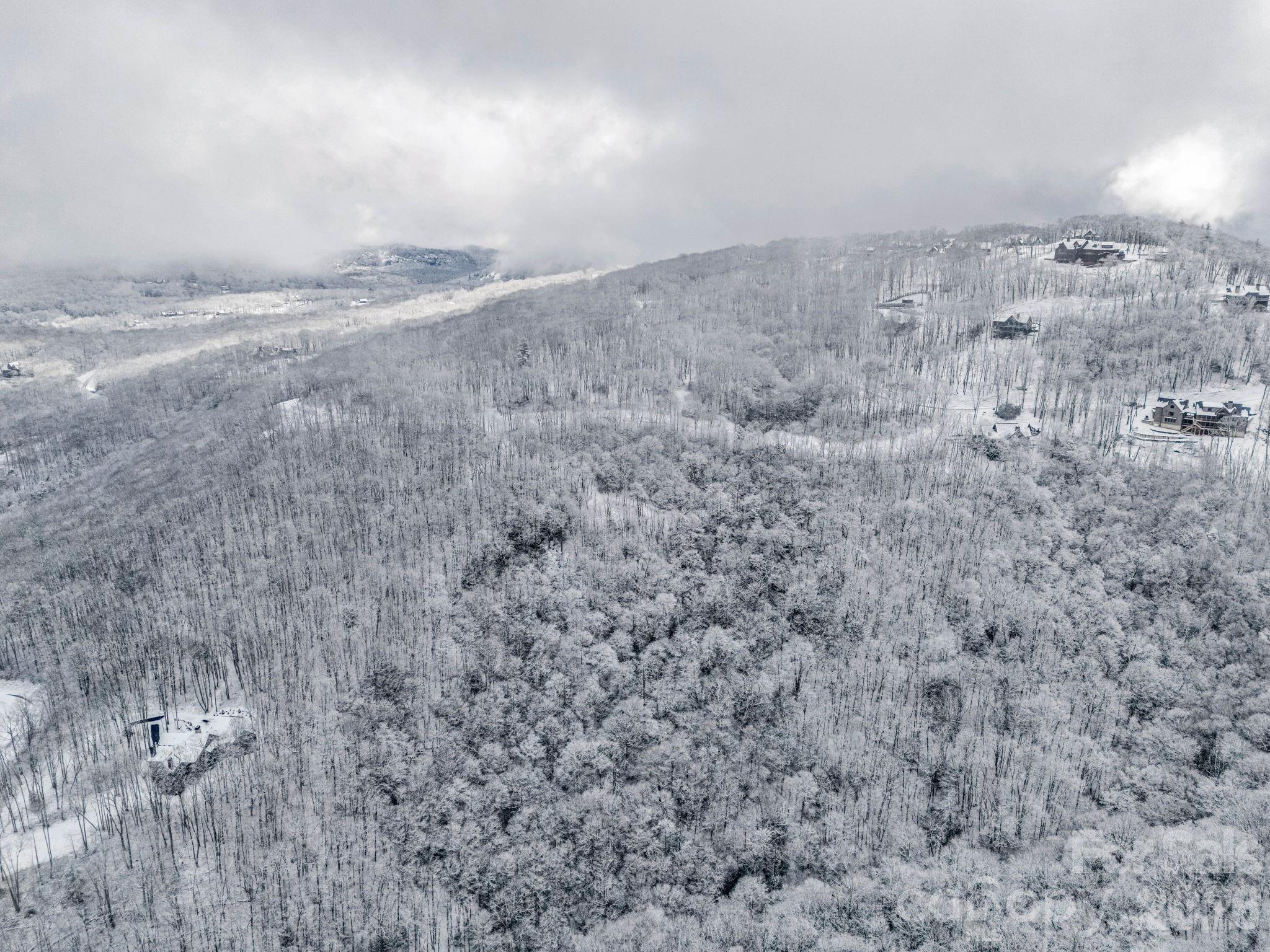 D54 Springwater Road, Unit D54 Glenville, NC 28736 - Photo 19 of 26 a view of a dry yard with wooden floor