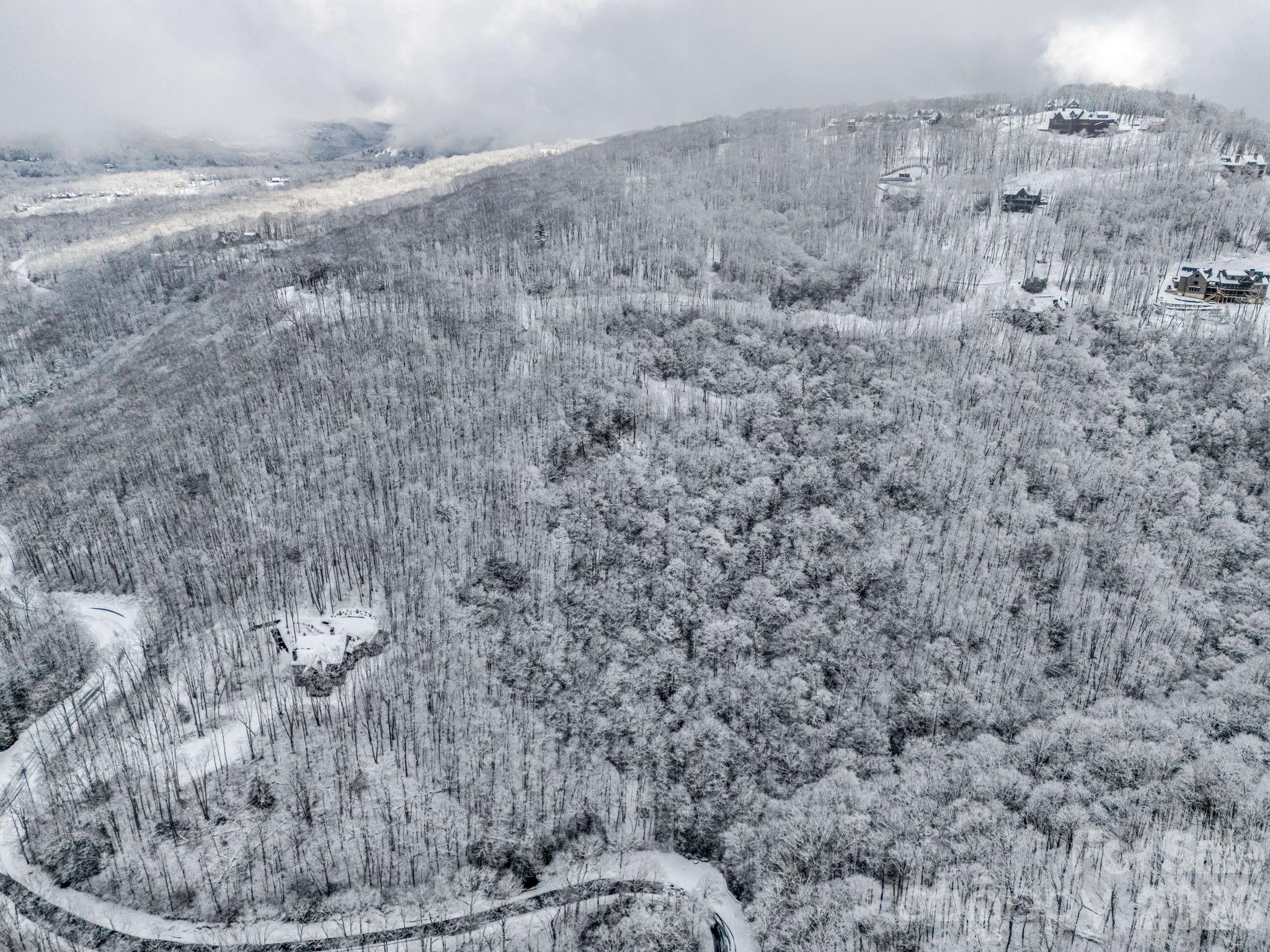 D54 Springwater Road, Unit D54 Glenville, NC 28736 - Photo 20 of 26 a view of a dry field