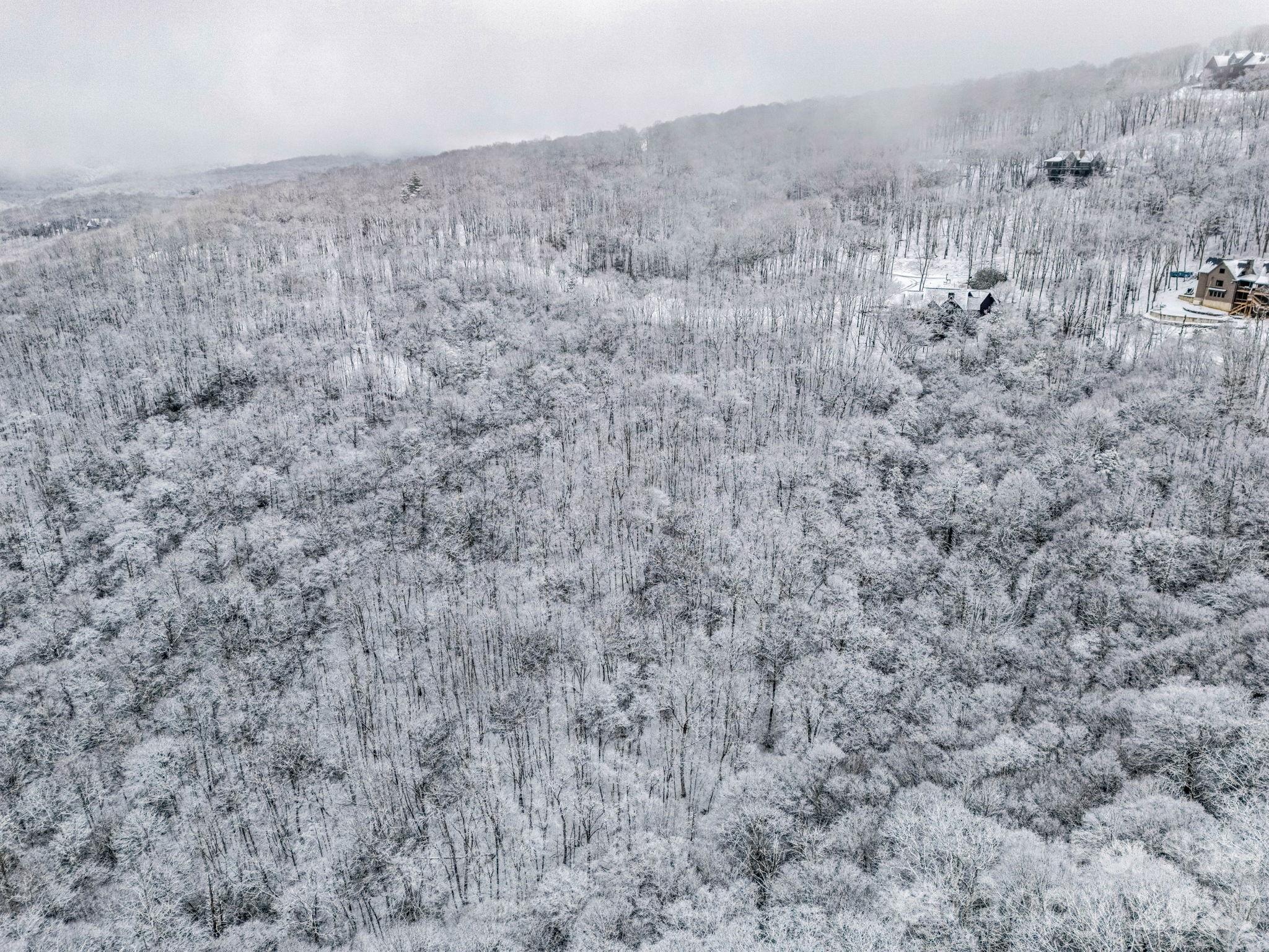 D54 Springwater Road, Unit D54 Glenville, NC 28736 - Photo 22 of 26 a view of a dry yard