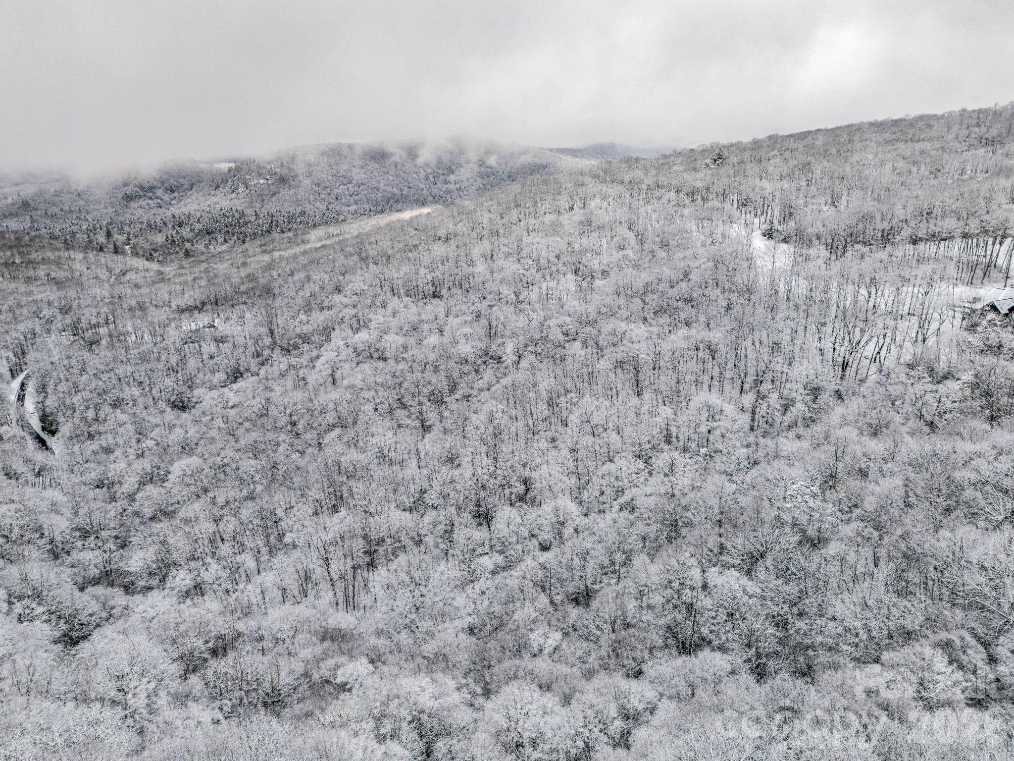 D54 Springwater Road, Unit D54 Glenville, NC 28736 - Photo 23 of 26 a view of a dry yard with trees