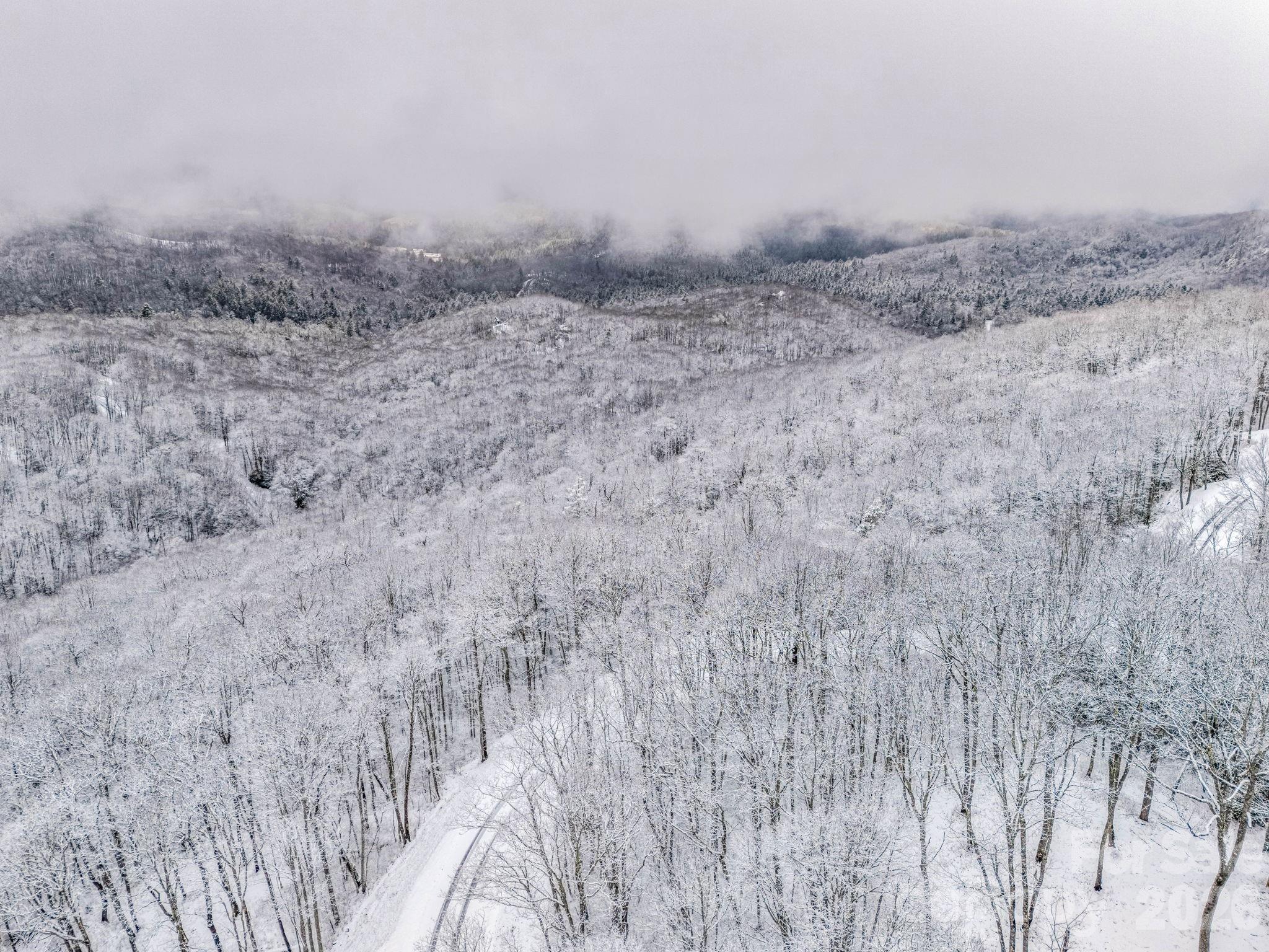 D54 Springwater Road, Unit D54 Glenville, NC 28736 - Photo 24 of 26 a view of a dry yard with wooden fence