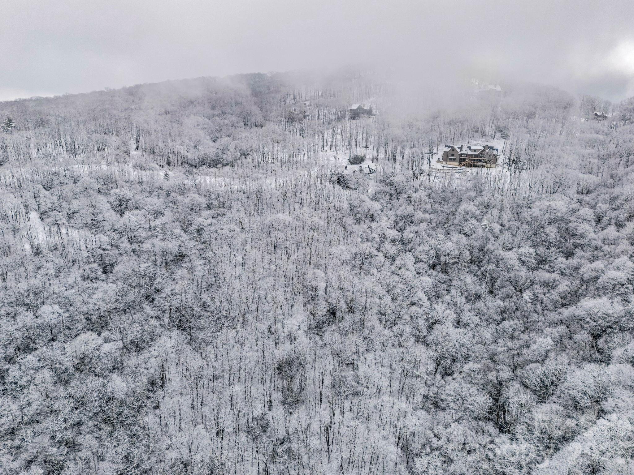 D54 Springwater Road, Unit D54 Glenville, NC 28736 - Photo 25 of 26 a view of a dry yard