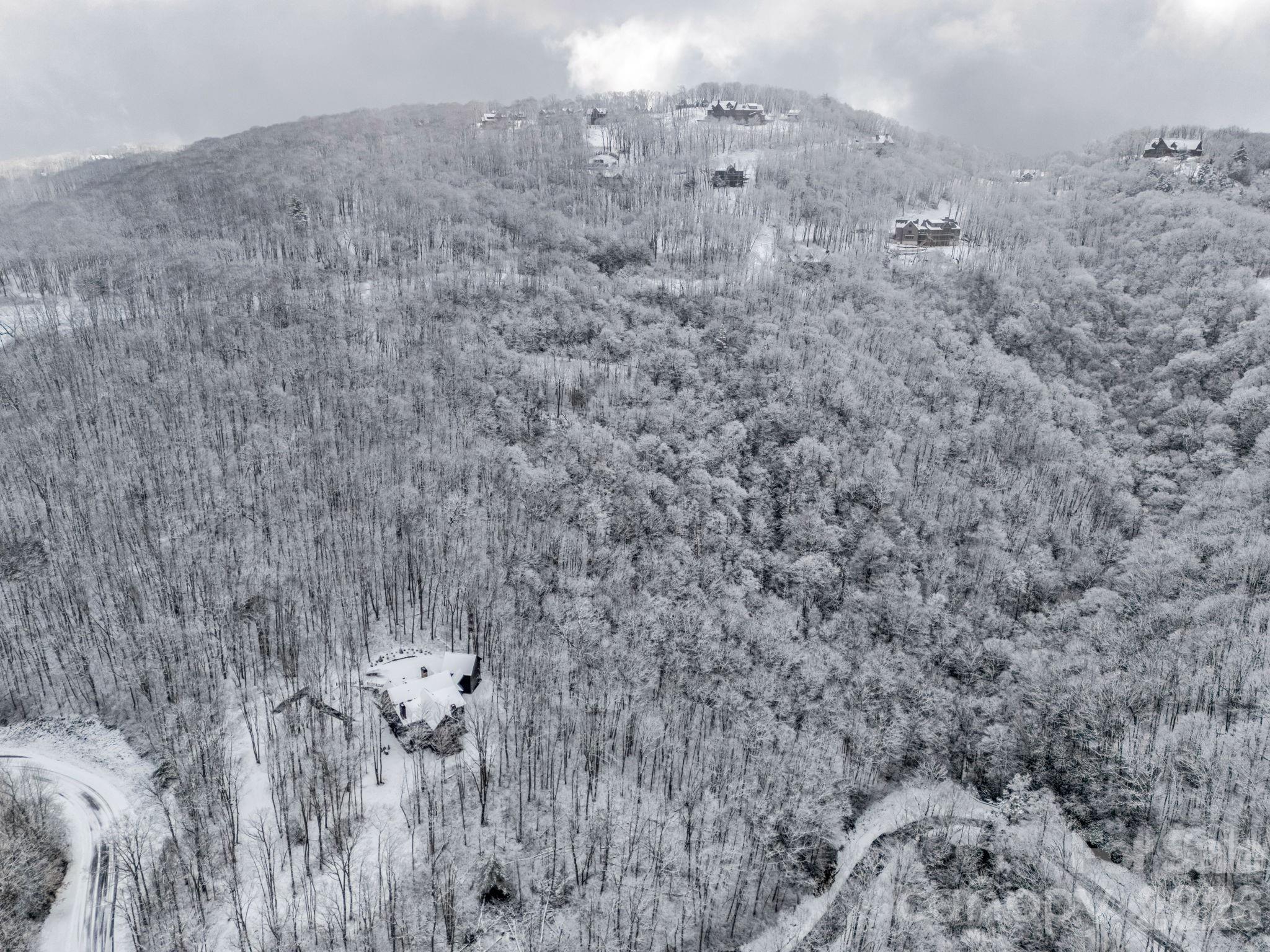 D54 Springwater Road, Unit D54 Glenville, NC 28736 - Photo 6 of 26 a view of a dry yard
