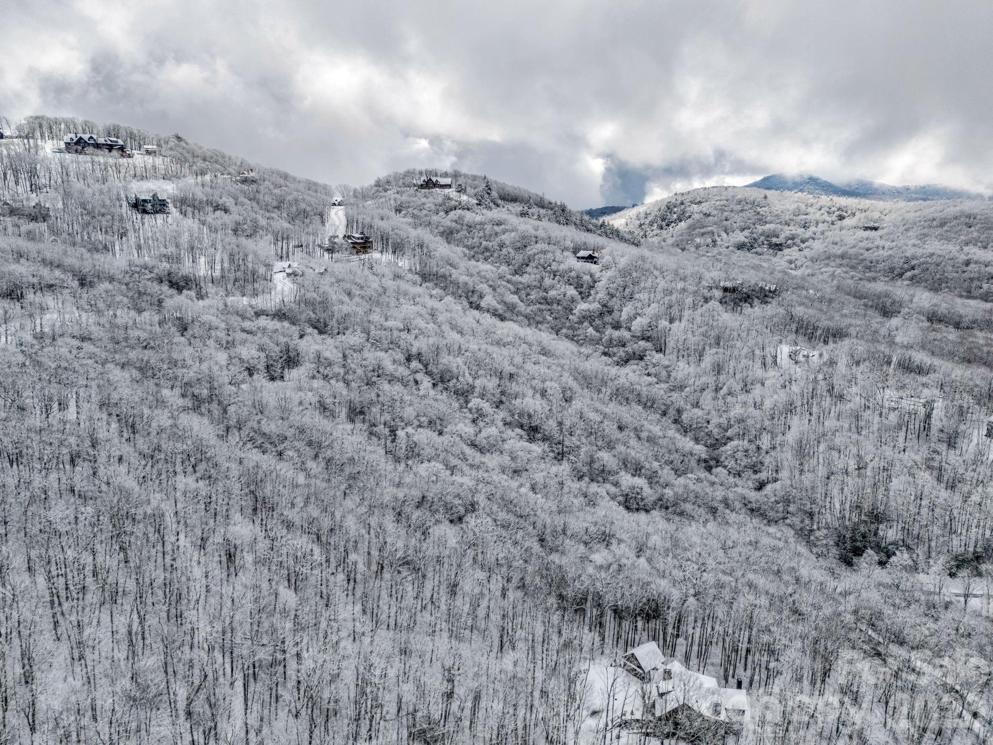 D54 Springwater Road, Unit D54 Glenville, NC 28736 - Photo 7 of 26 a view of a dry yard