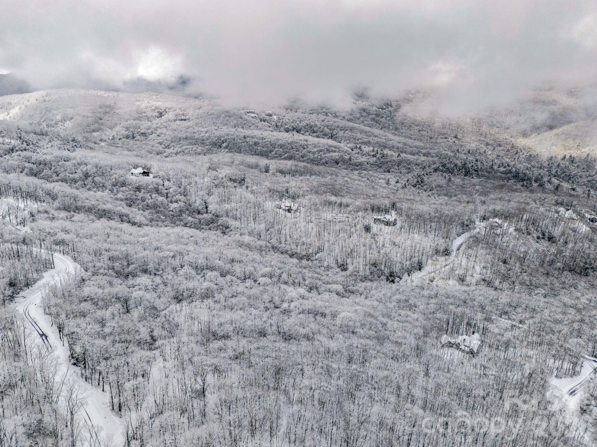 D54 Springwater Road, Unit D54 Glenville, NC 28736 - Photo 9 of 26 a view of a dry yard