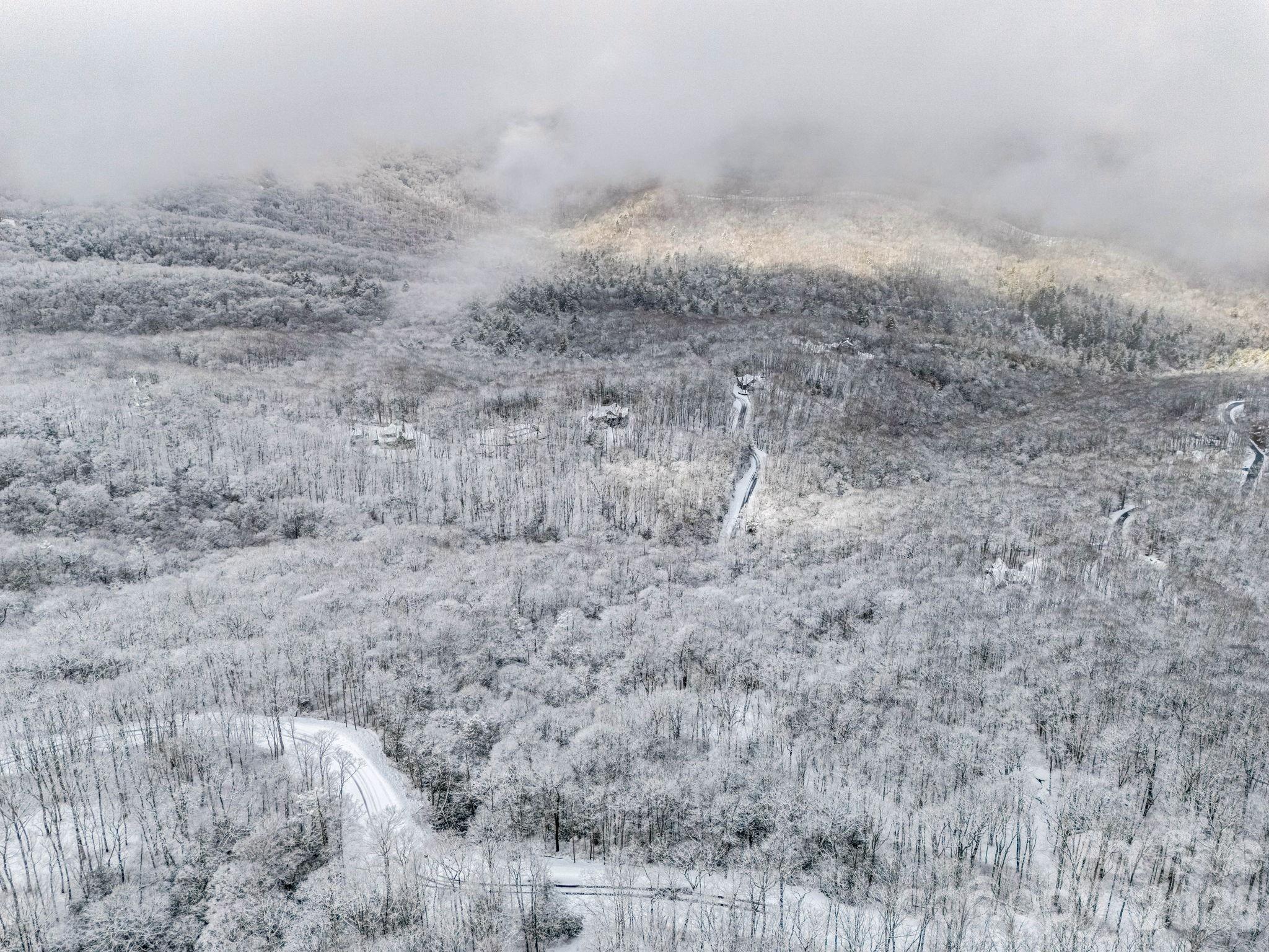 D54 Springwater Road, Unit D54 Glenville, NC 28736 - Photo 10 of 26 a view of a dry field