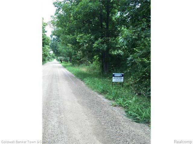 Vl North Briggsville Road Fowlerville, MI 48836 - Photo 10 of 10