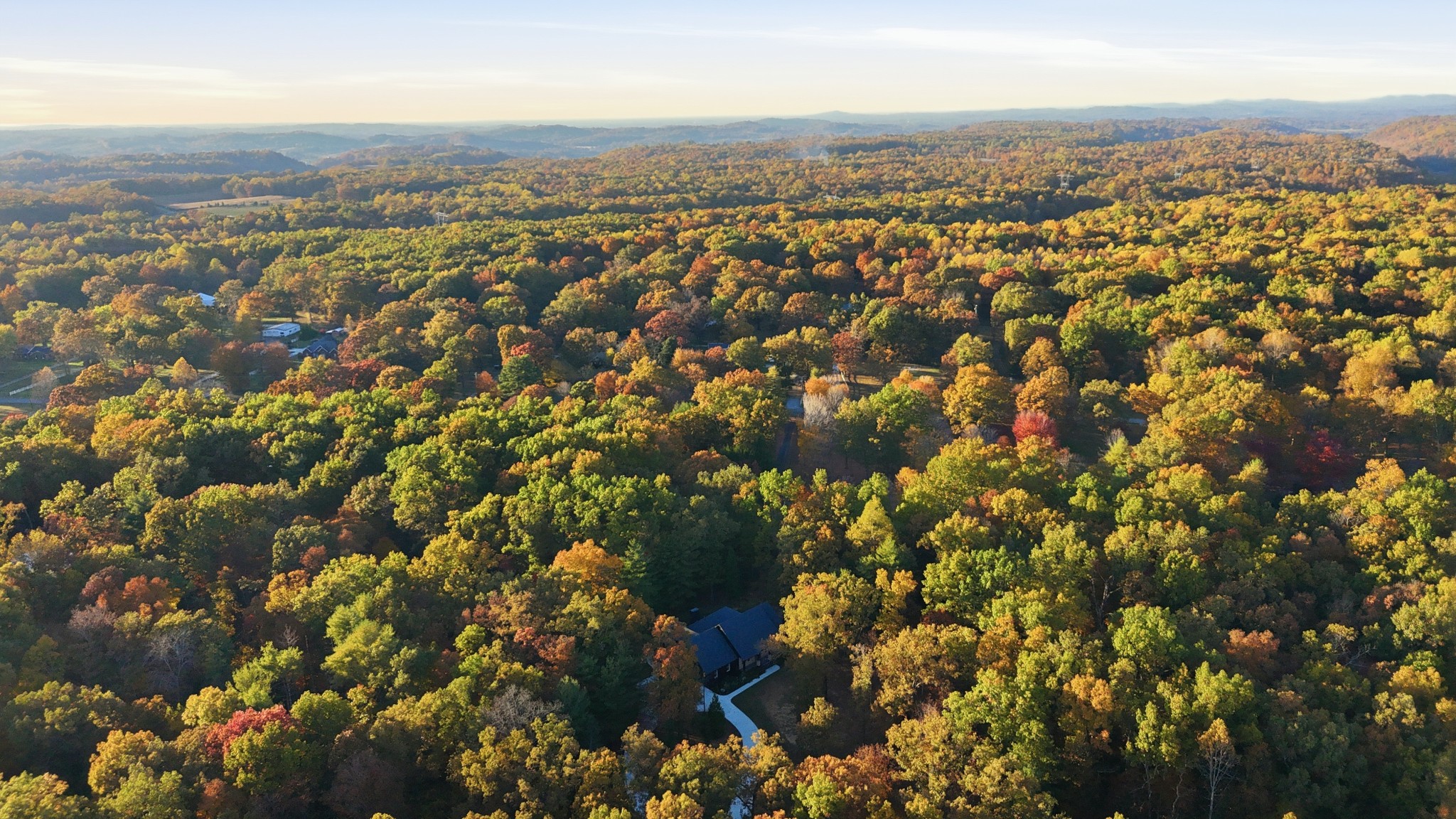 438 Deer Run Road Wartrace, TN 37183 - Photo 7 of 93