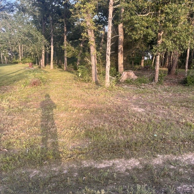 0 Kerny Hempstead, TX 77445 - Photo 1 of 7