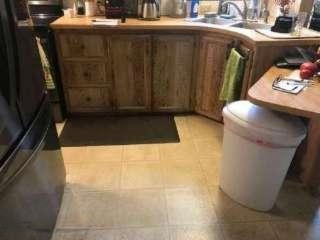 1845 West Rockey Weed Road Berrien Springs, MI 49103 - Photo 4 of 6 waite kitchen 2