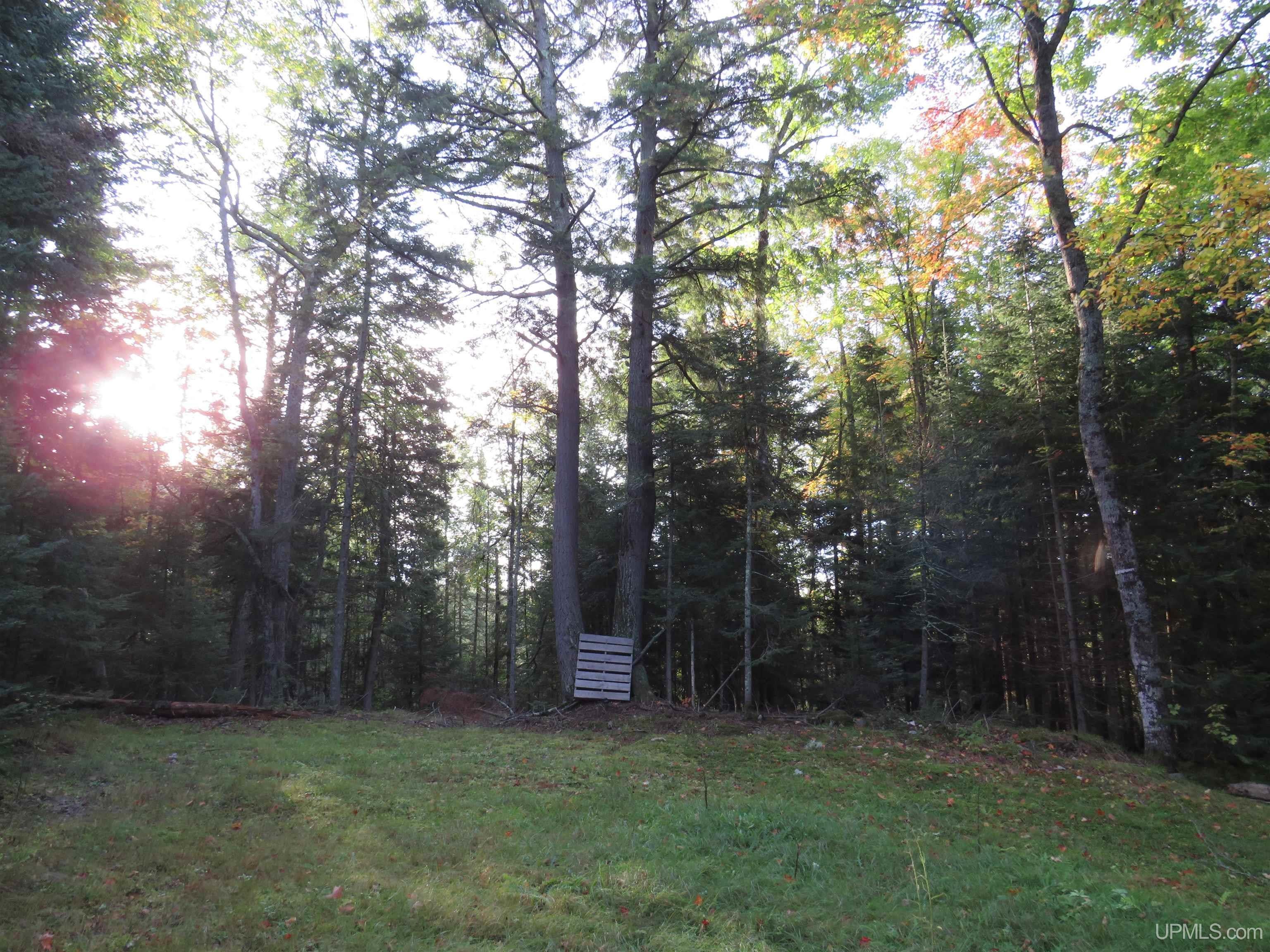 2774 Chief Lake Road Republic, MI 49879 - Photo 9 of 20 Gallery Image 9