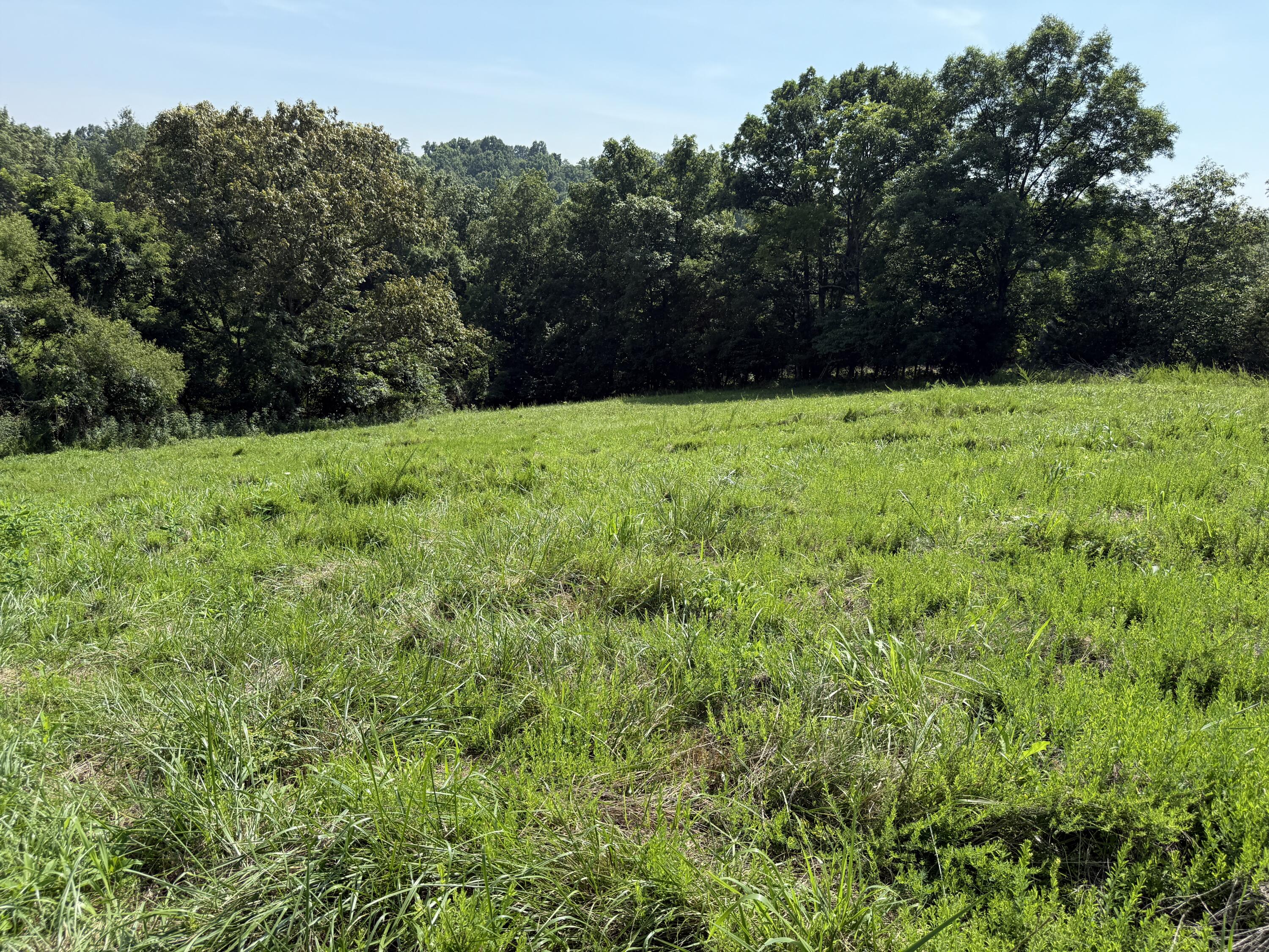 0 Goldsvalley Road Dry Ridge, KY 41035 - Photo 10 of 50