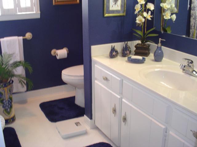 300 Windemere Way Anderson, SC 29625 - Photo 8 of 9