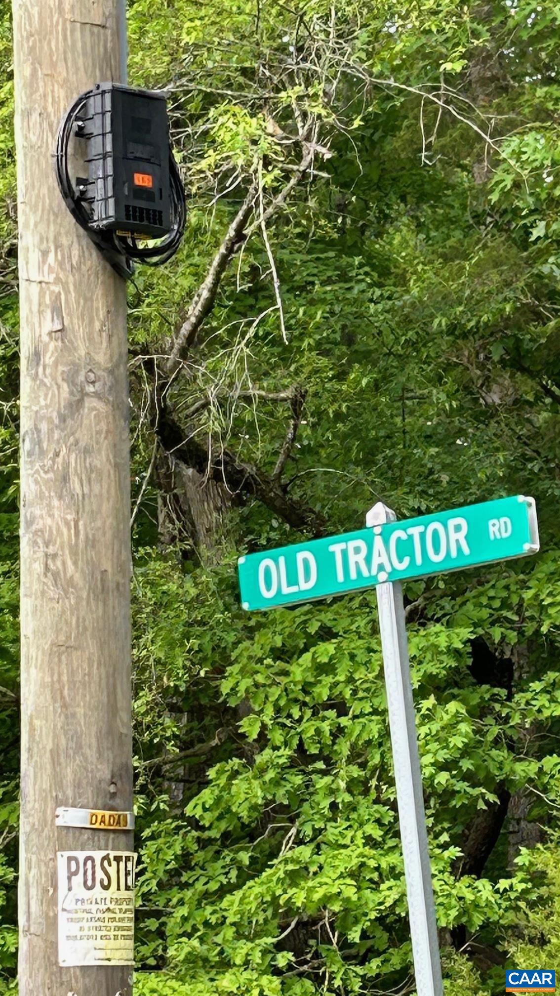 0 Old Tractor Road Kents Store, VA 23084 - Photo 1 of 5 a picture of a tree