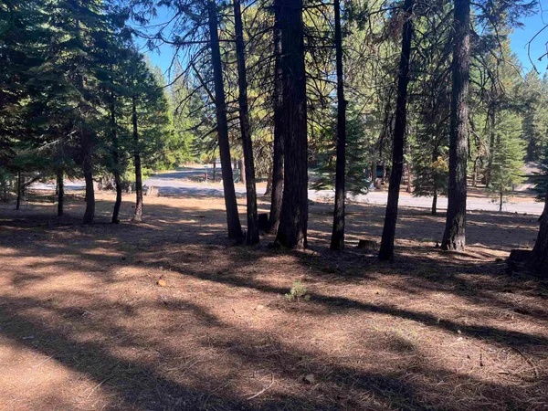 $30,000 | 935 Long Iron Drive, Lake Almanor West, CA 96020