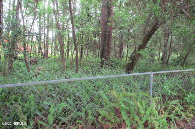 203 Jaffa Road Crescent City, FL 32112 - Photo 24 of 46 IMG_6719