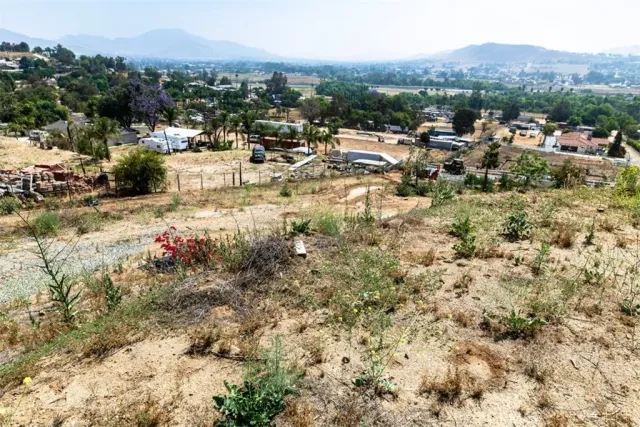 a view of a dry yard with trees