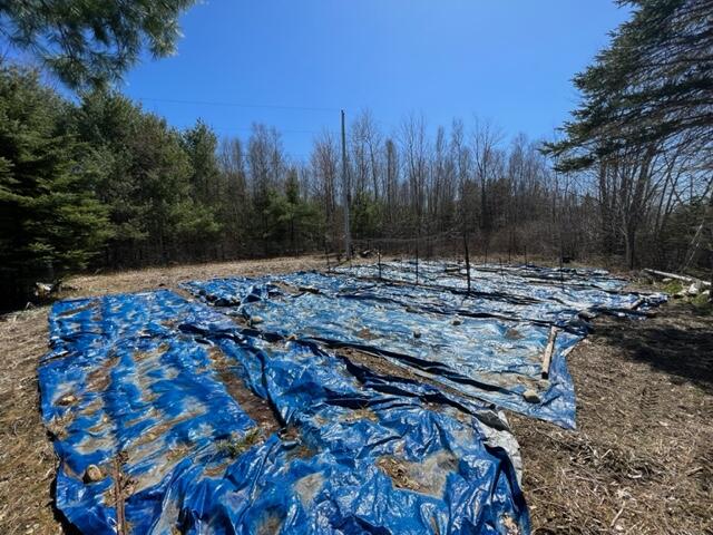 17 Carlisle Road Surry, ME 04684 - Photo 57 of 60 IMG_8981
