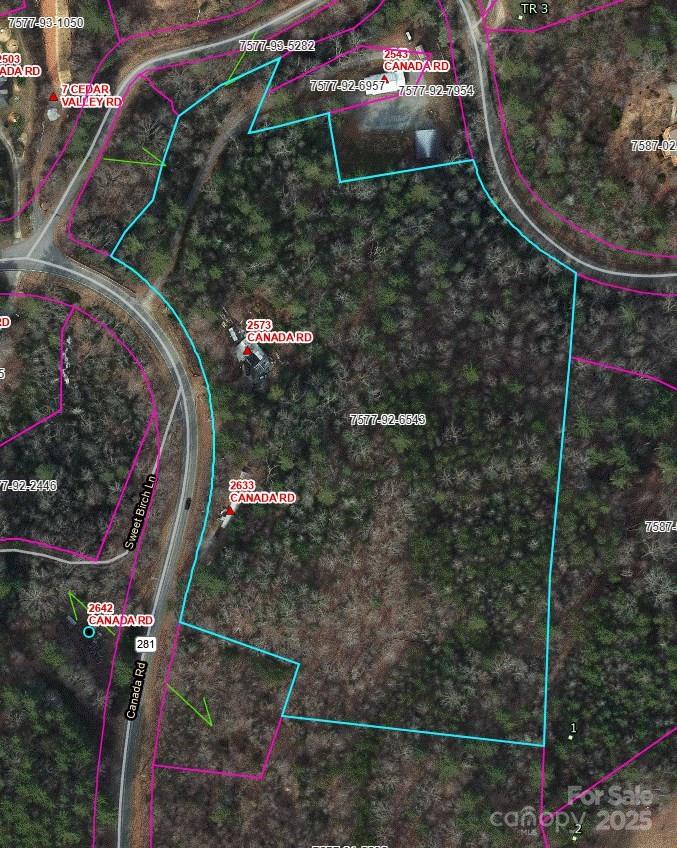 2633 Canada Road Tuckasegee, NC 28783 - Photo 2 of 9