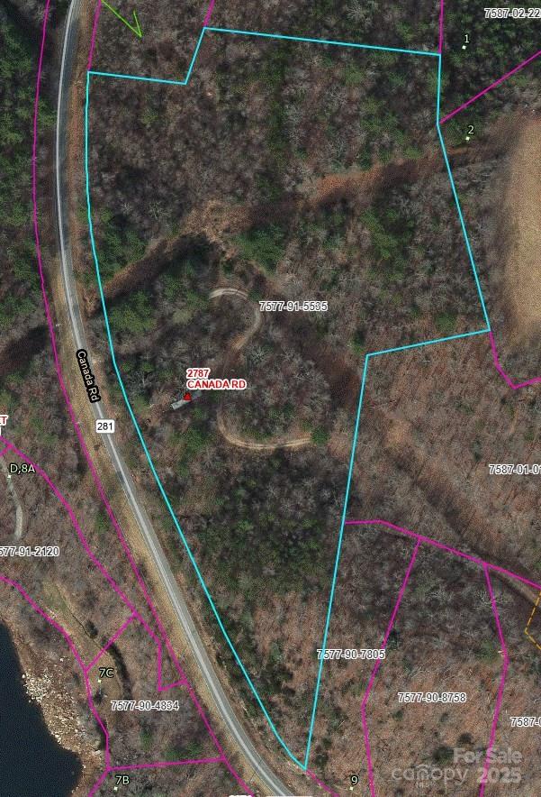 2633 Canada Road Tuckasegee, NC 28783 - Photo 3 of 9