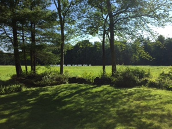 130 Athol Road Orange, MA 01364 - Photo 6 of 20 a view of yard with green space