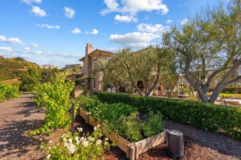 a view of a garden with plants and a bench
