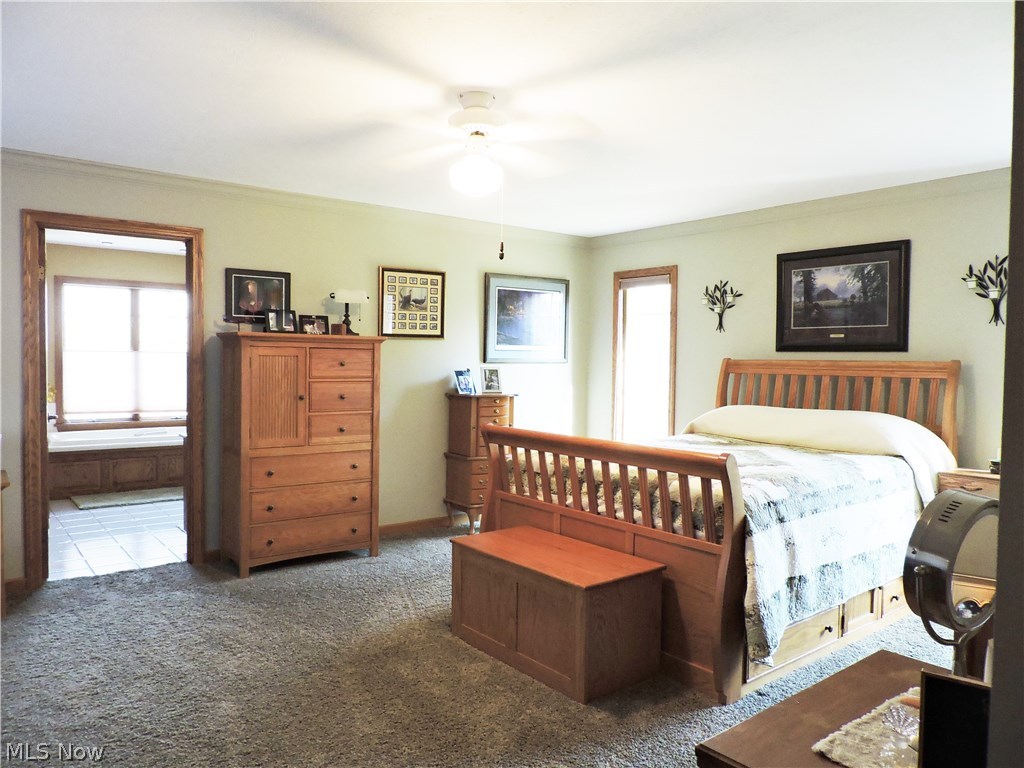 7475 Congress Road Lodi, OH 44254 - Photo 20 of 30 Gallery Image 20