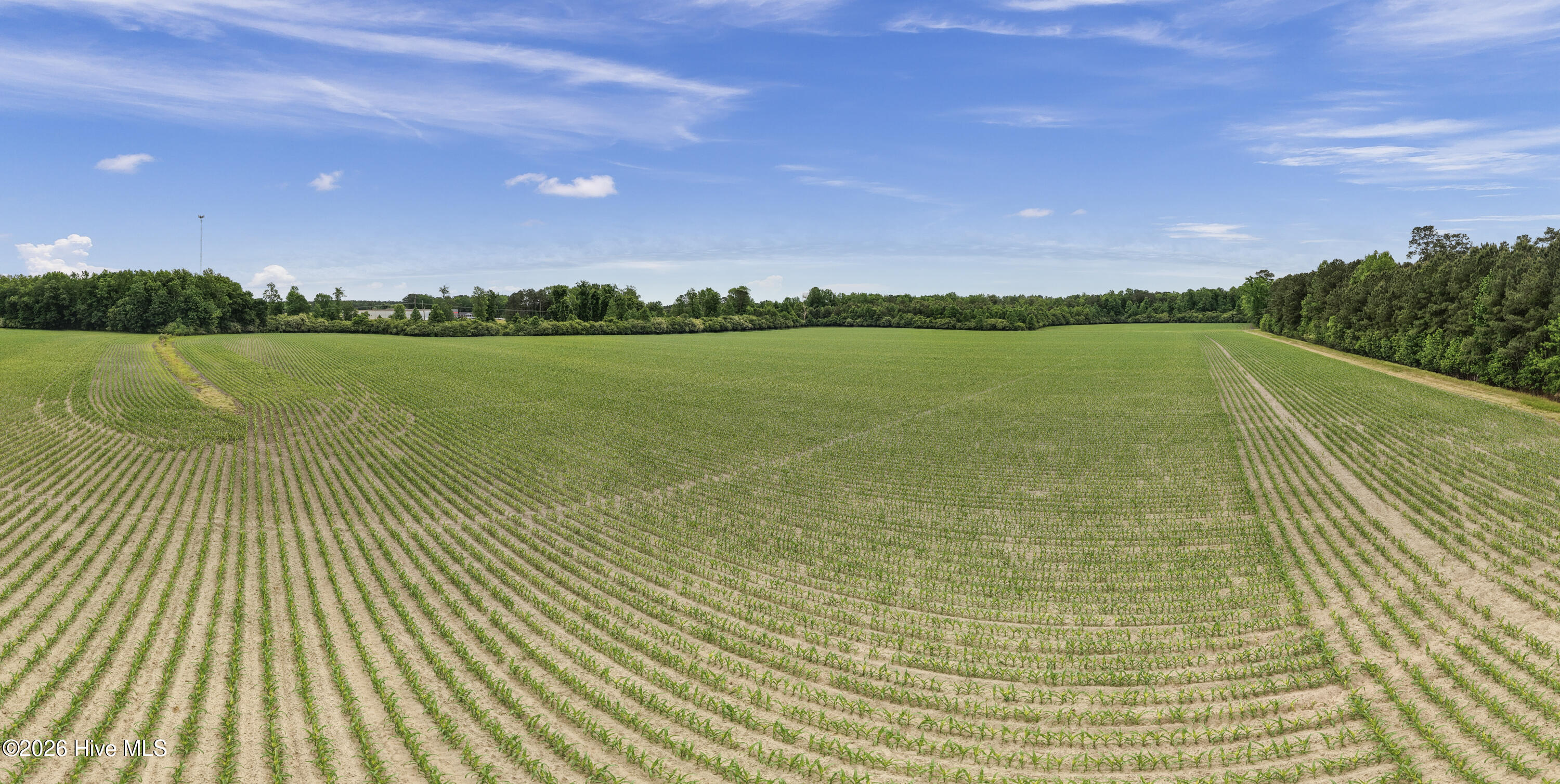 34.4-acres High School Road Teachey, NC 28464 - Photo 15 of 23 16-001_0051_pano