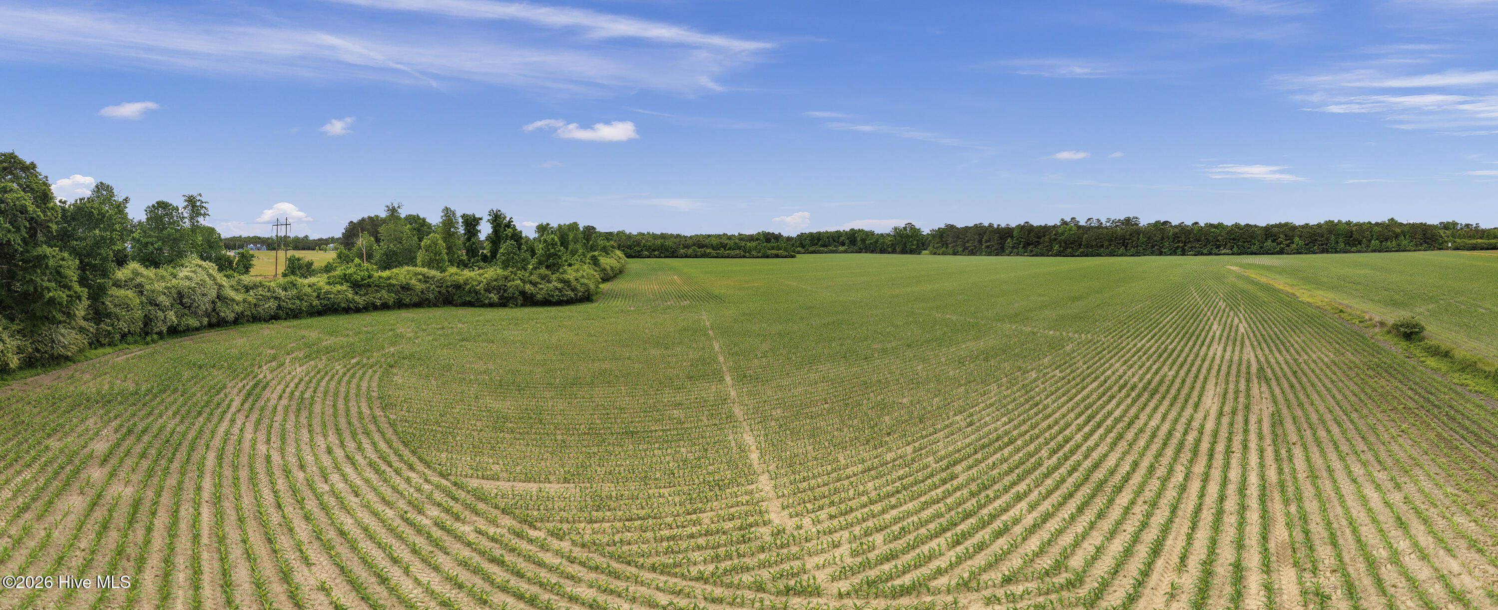 34.4-acres High School Road Teachey, NC 28464 - Photo 16 of 23 17-001_0052_pano
