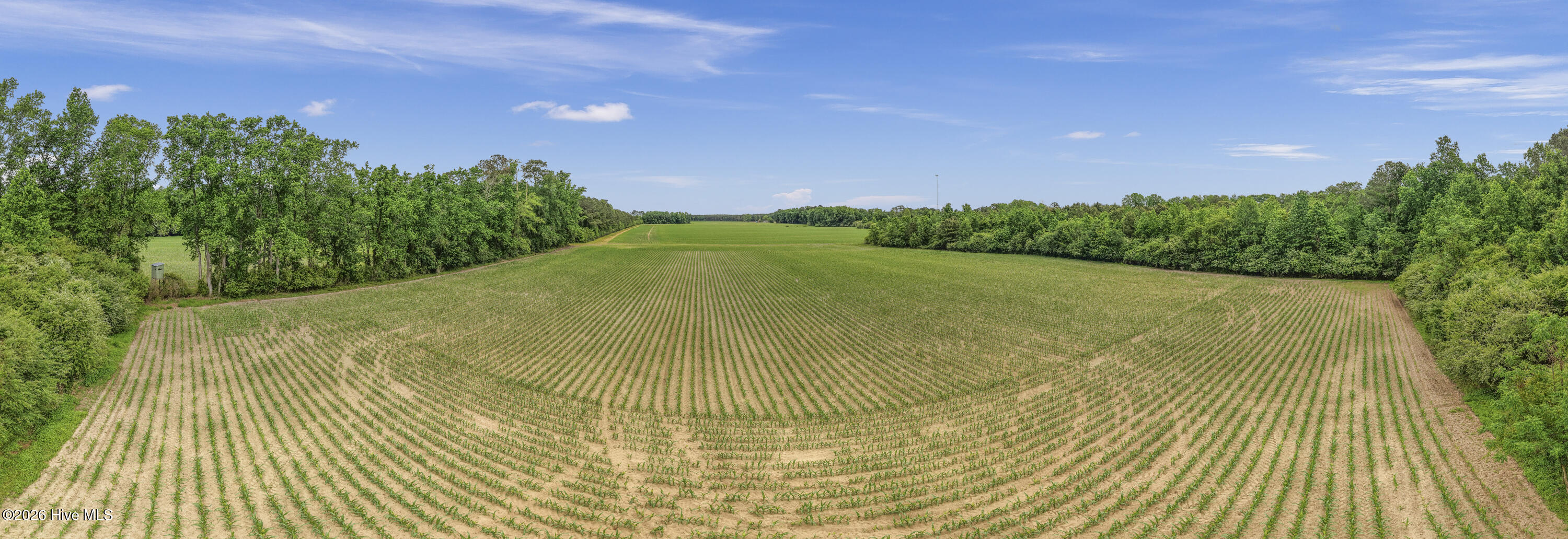 34.4-acres High School Road Teachey, NC 28464 - Photo 17 of 23 18-001_0053_pano