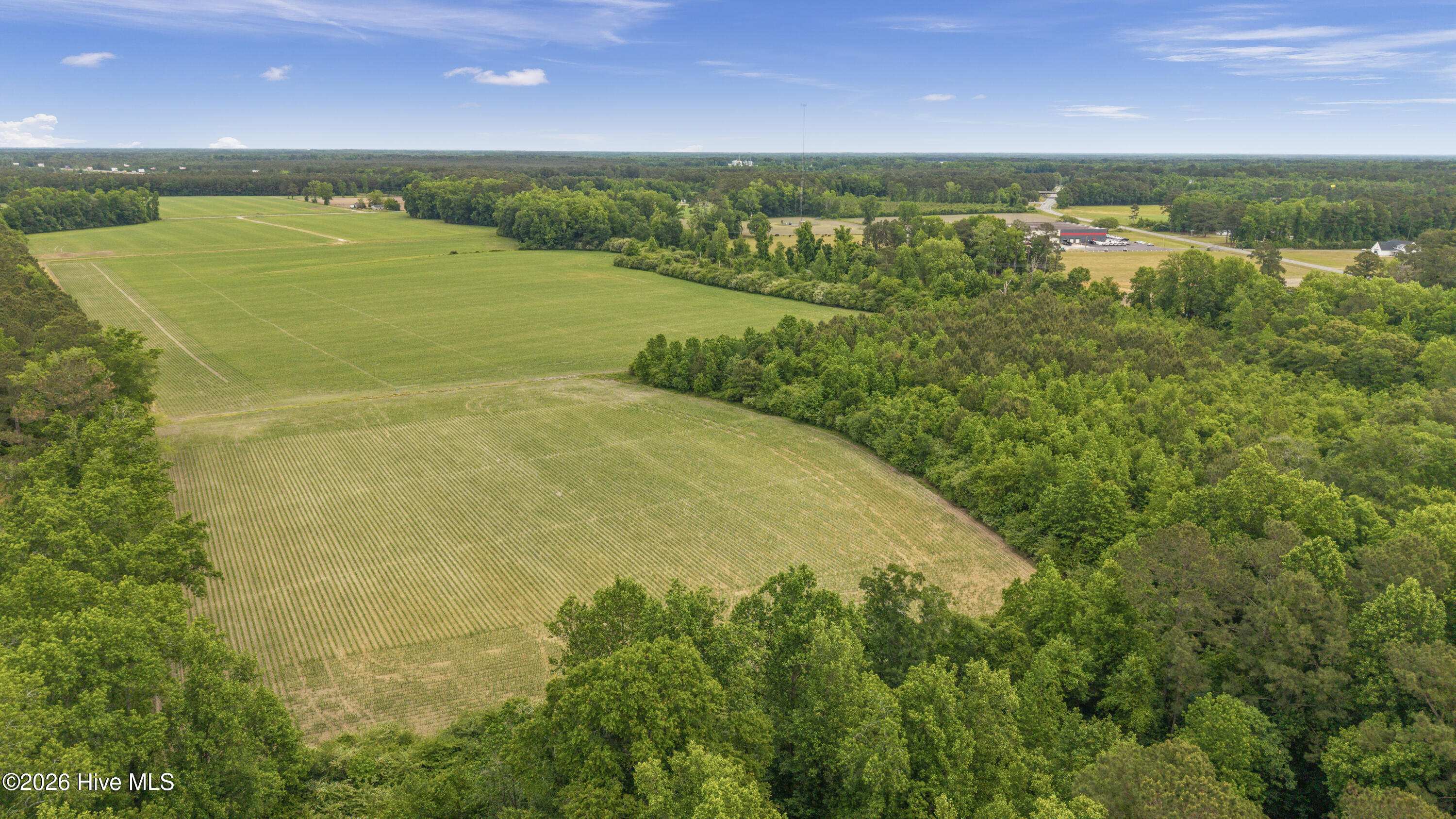 34.4-acres High School Road Teachey, NC 28464 - Photo 2 of 23 14-DJI_20260428233311_0047_D