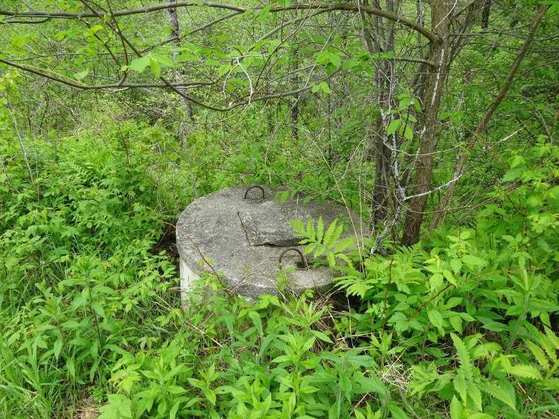 110 Gore Road Oxford, ME 04270 - Photo 13 of 34 Yard/Garden. Well located to right...