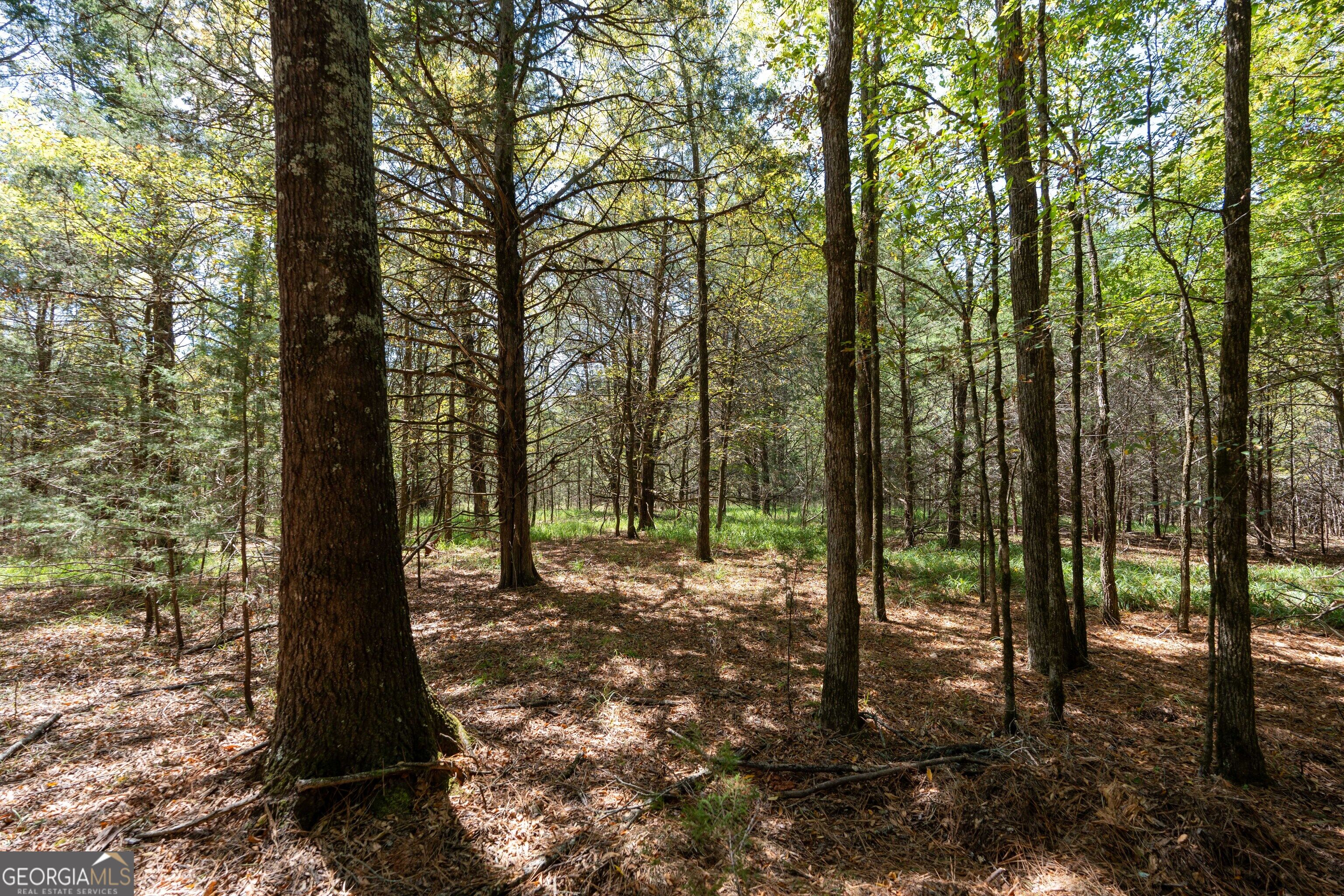 1419 Bobby Brown State Park Road Elberton, GA 30635 - Photo 31 of 90 Gallery Image 31