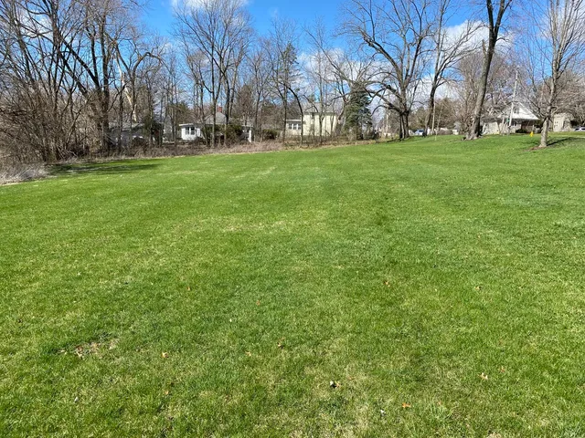 a view of yard with trees