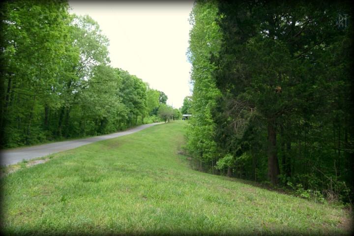 1340 Sugar Tree Knob Road Liberty, TN 37095 - Photo 18 of 19 Gallery Image 18