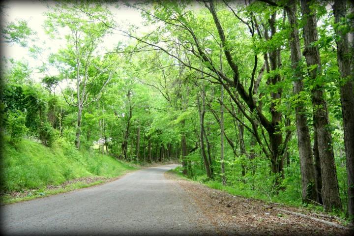 1340 Sugar Tree Knob Road Liberty, TN 37095 - Photo 19 of 19 Gallery Image 19