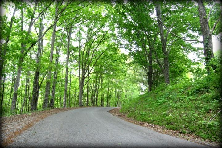 1340 Sugar Tree Knob Road Liberty, TN 37095 - Photo 3 of 19 Gallery Image 3