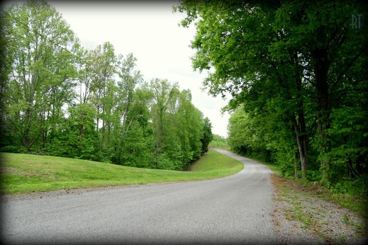 1340 Sugar Tree Knob Road Liberty, TN 37095 - Photo 4 of 19 Gallery Image 4
