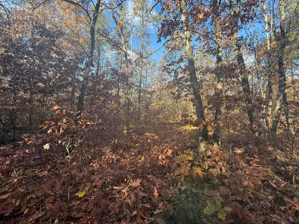 $10,500 | 3544 South Cornell Avenue, Baldwin, MI 49304