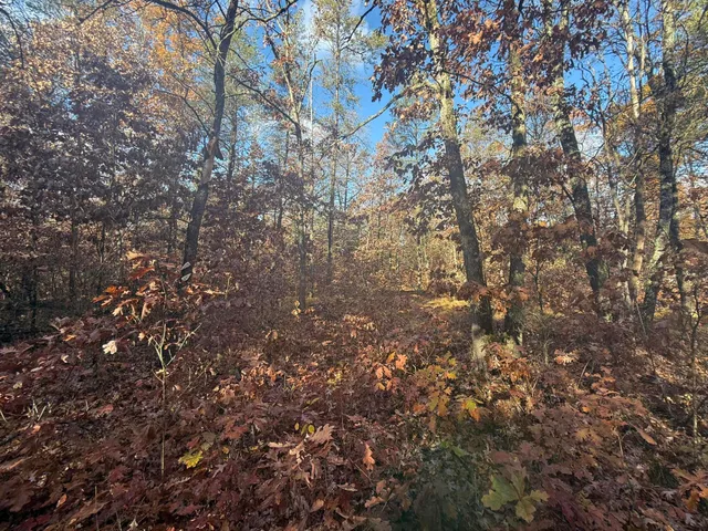 $11,999 | 3544 South Cornell Avenue, Baldwin, MI 49304