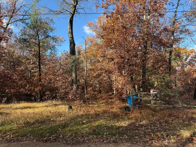 $11,999 | 3544 South Cornell Avenue, Baldwin, MI 49304