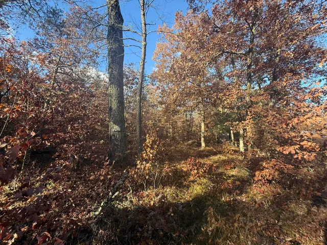 $11,999 | 3544 South Cornell Avenue, Baldwin, MI 49304