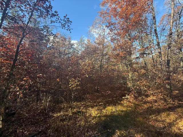 $11,999 | 3544 South Cornell Avenue, Baldwin, MI 49304