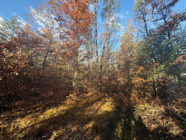 $11,999 | 3544 South Cornell Avenue, Baldwin, MI 49304