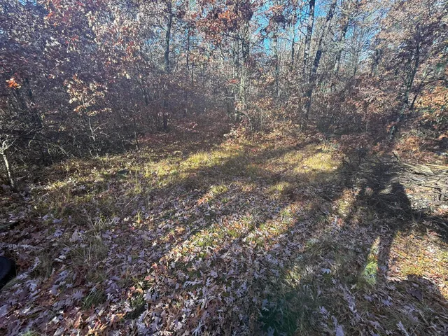 $11,999 | 3544 South Cornell Avenue, Baldwin, MI 49304