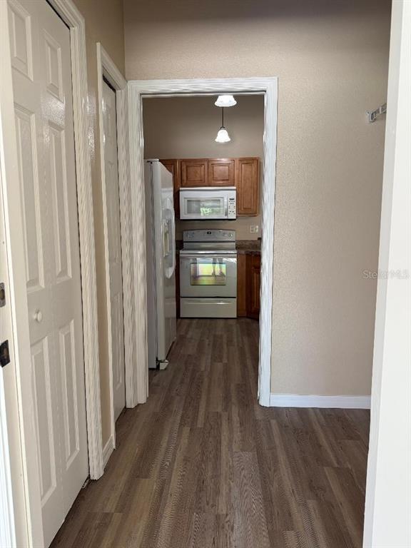 3355 Abeline Road Spring Hill, FL 34606 - Photo 6 of 59