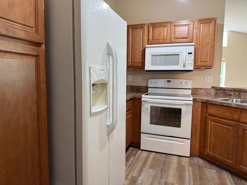 3355 Abeline Road Spring Hill, FL 34606 - Photo 9 of 59