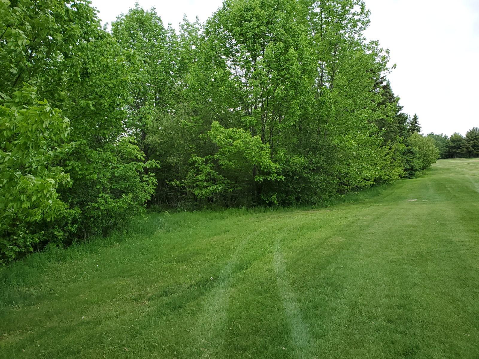 136 Dow Farm Road Island Falls, ME 04747 - Photo 1 of 6 20200607_171244